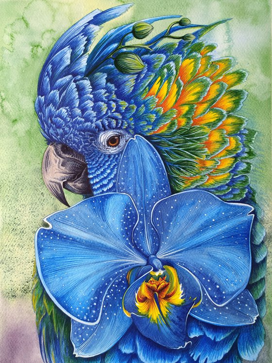 The Harmony of Vulnerability