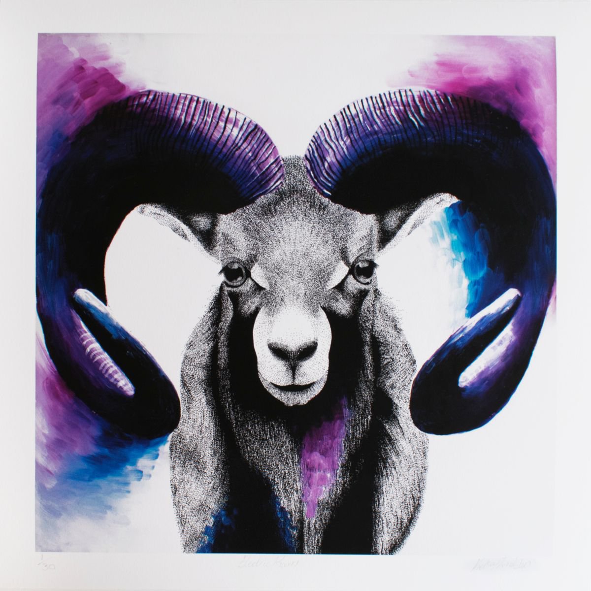 Electric Ram Limited Edition Giclee Print by Kelsey Emblow