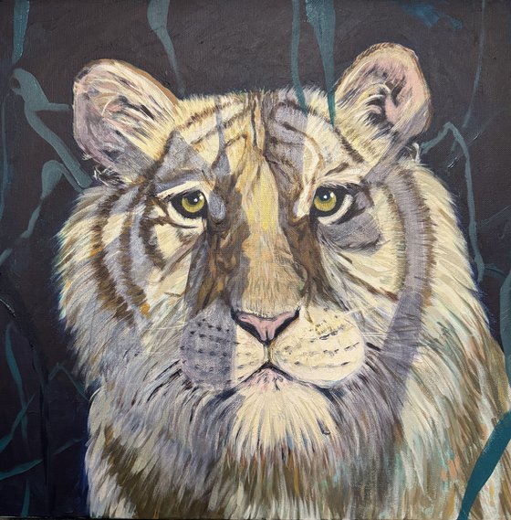 Twilight Tiger Emerging