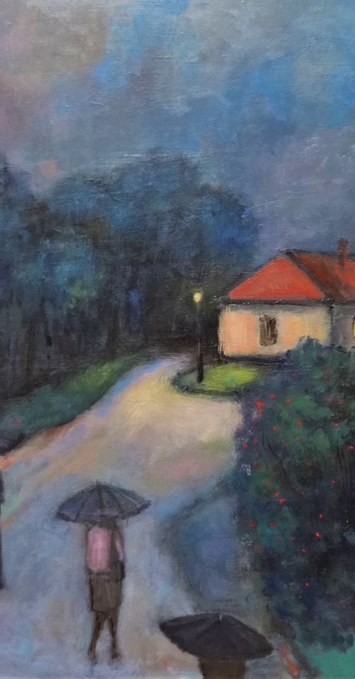 Coming home in the rain by Massimiliano Ligabue