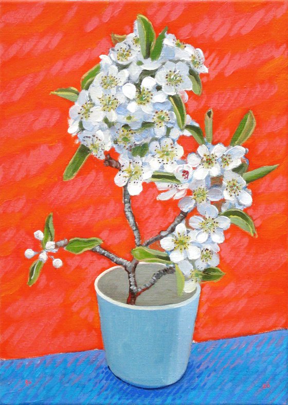 Pear Blossom in a Cup