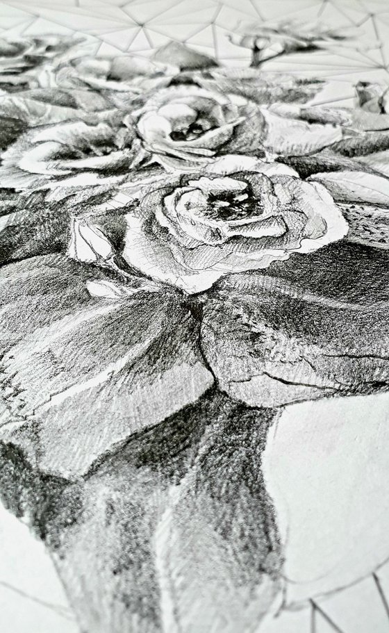 Floral geometry drawing.