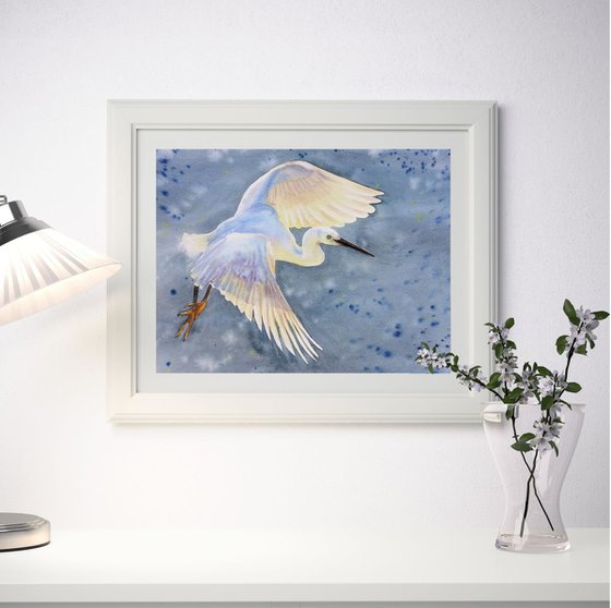 Flying Egret - Snowy Egret – Little Egret - Heron - White Egret