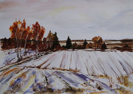 The winter landscape
