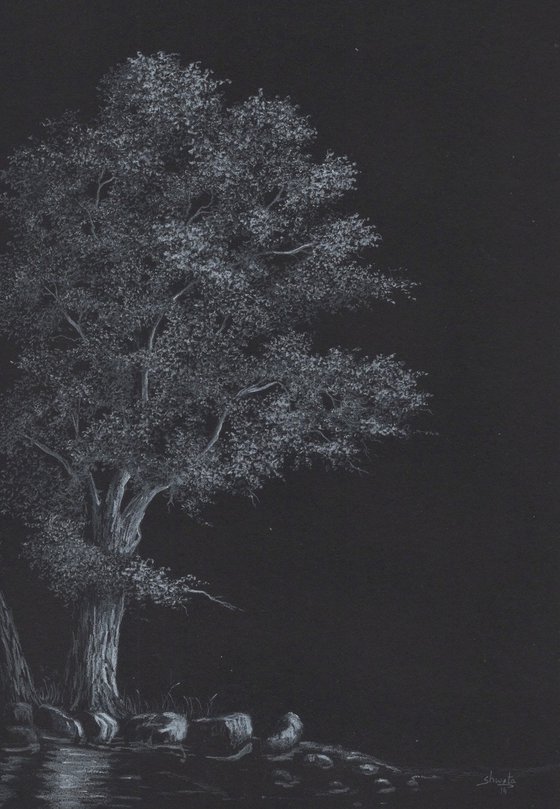 Moonlit tree