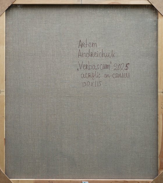 Verbascum