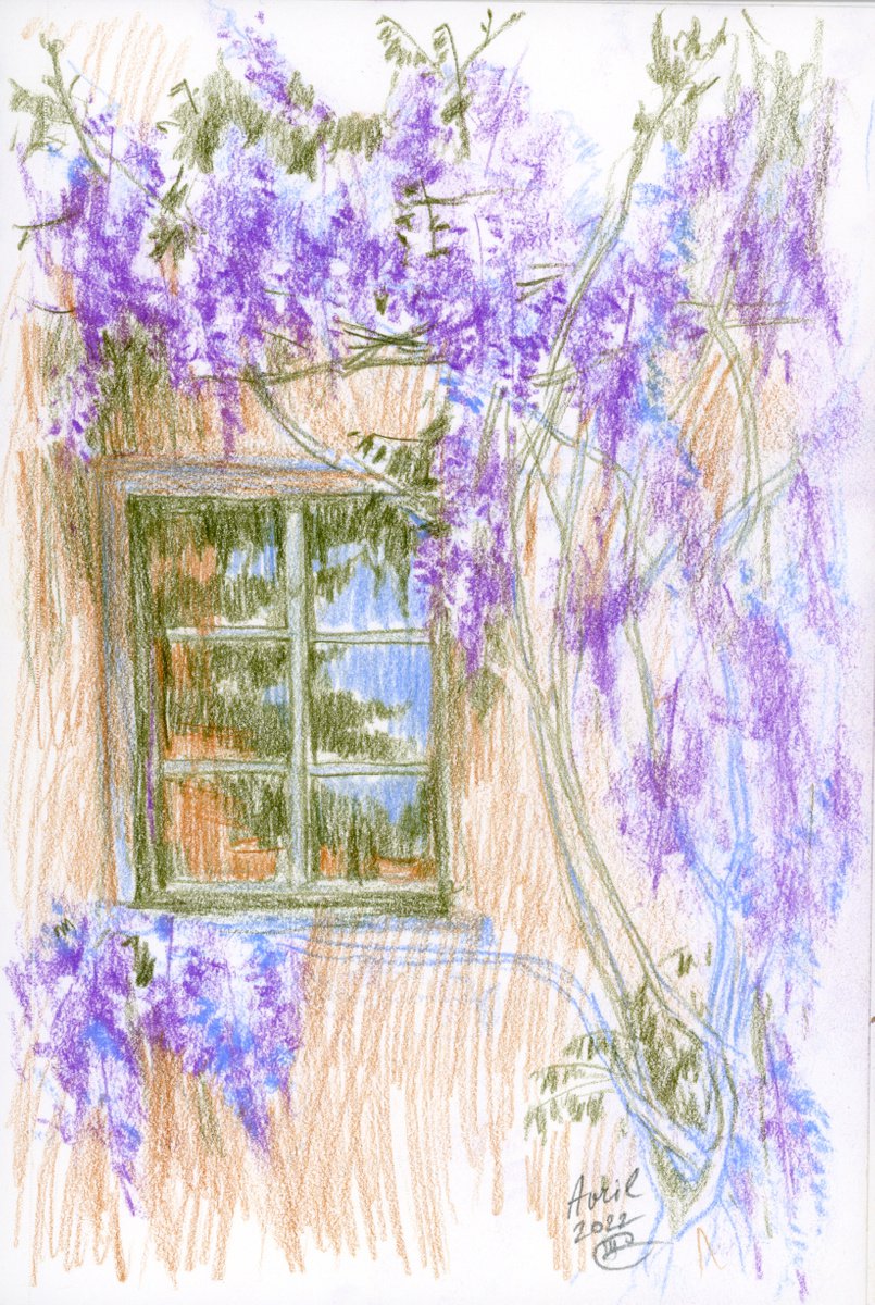 Spring. Wisteria. Window. by Tatyana Tokareva