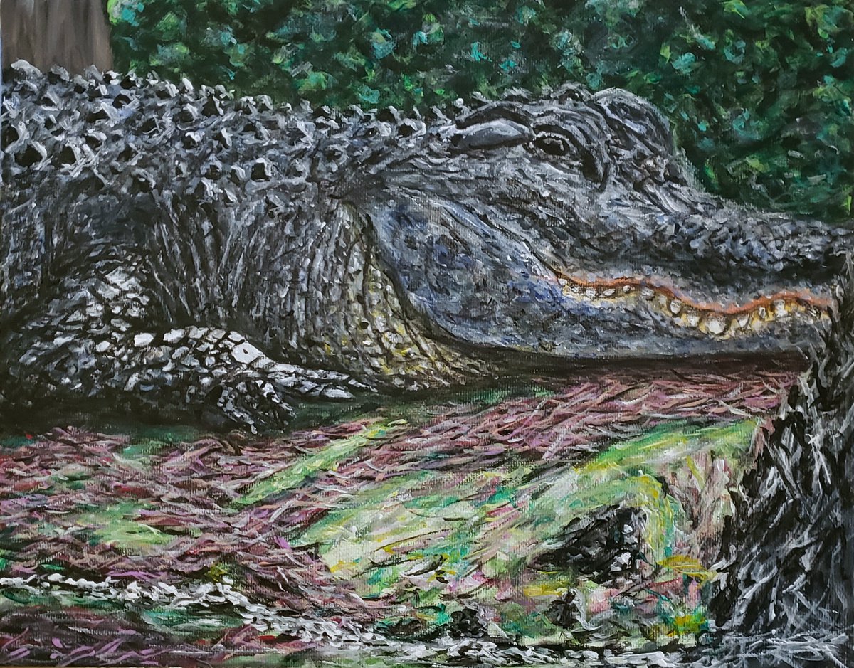 Alligator On The Bank by Robbie Potter