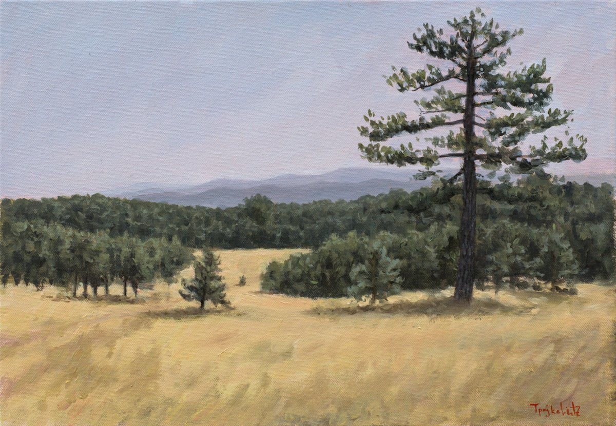 Plein air from Tara mountain by Dejan Trajkovic