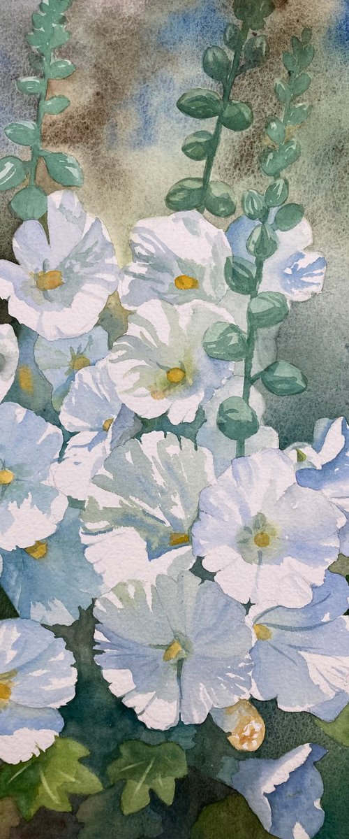 White Hollyhocks by Silvie Wright