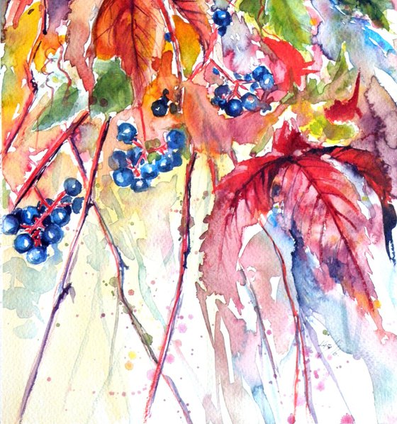 Wildgrapes