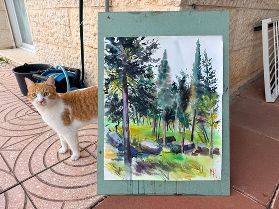 Morning in the Woods