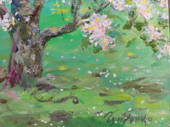 Morning in the spring garden.