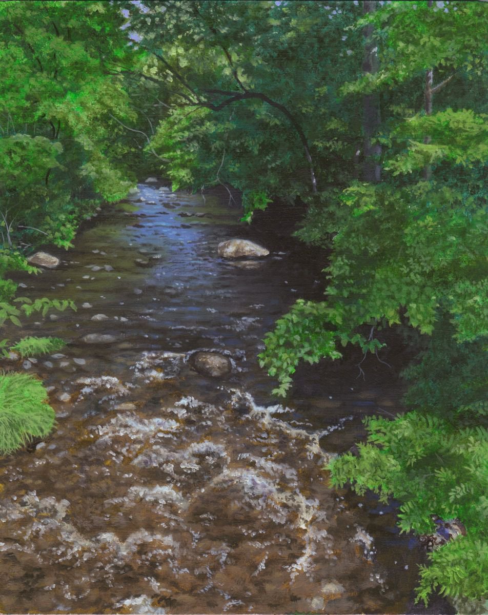 Shallow Stream by Glen Solosky