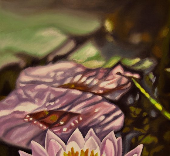 Water lilies III