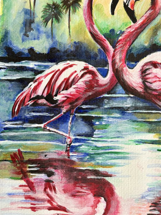 Flamingos at Sunset