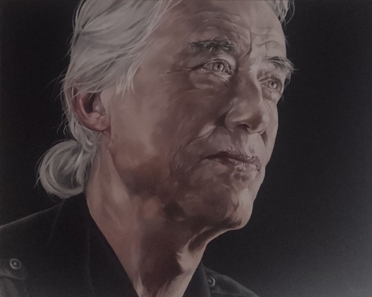 Photorealistic Portrait Oil Painting By Jo Beer, 20 X 16, Jimmy Page, Original Artwork