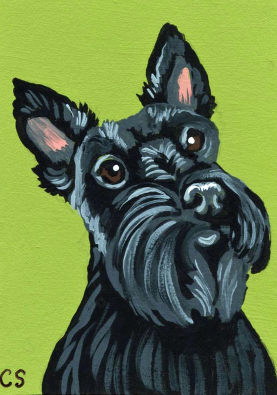 ACEO ATC Original Miniature Painting Black Scottish Terrier Pet Dog Art-Carla Smale