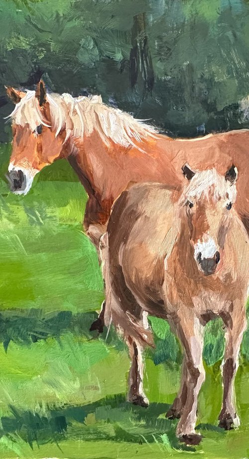Horses in a meadow by Toni Swiffen