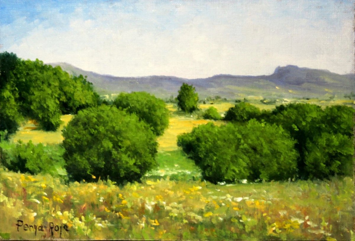 Paisaje mediterraneo by Vicent Penya-Roja