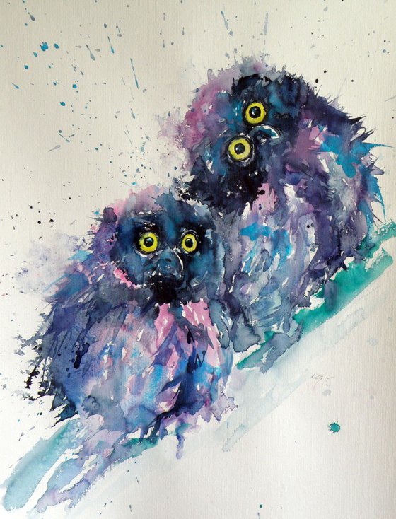 Owl chicks
