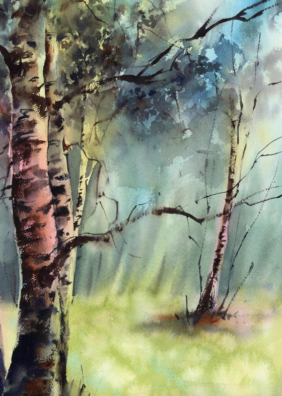 Birch Trees Summer Landscape