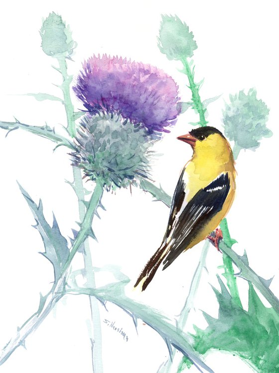 Milk Thistle and Goldfinch