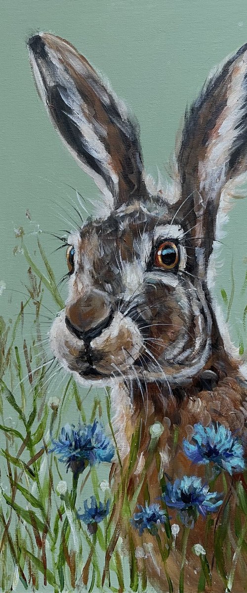 Hare in  Cornflowers by Louise Brown