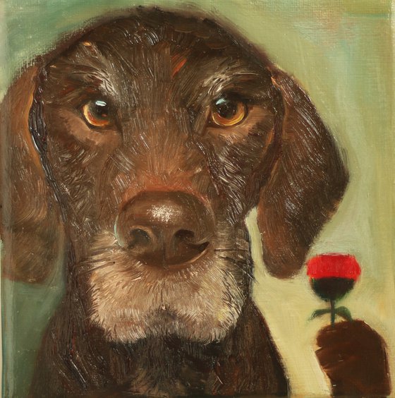 Dog with a red flower