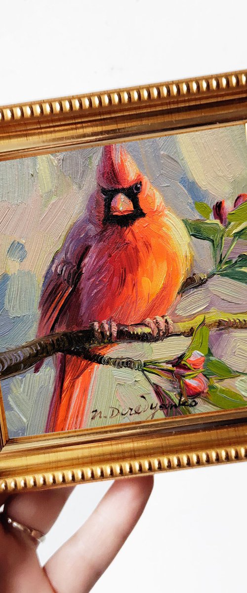 Cardinal red bird by Nataly Derevyanko