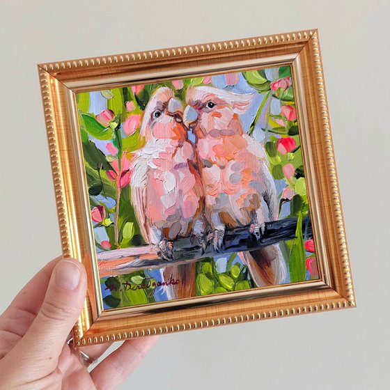 Pink parrot oil painting original birds art framed 5x5 inch