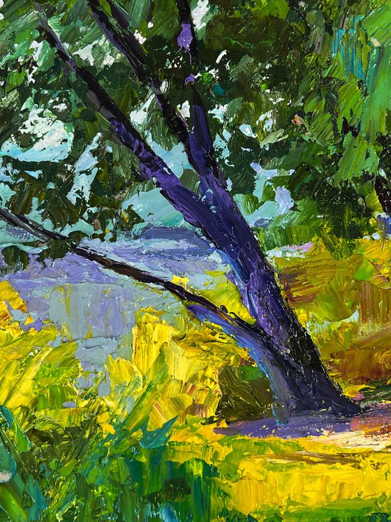 Summer Forest Glade