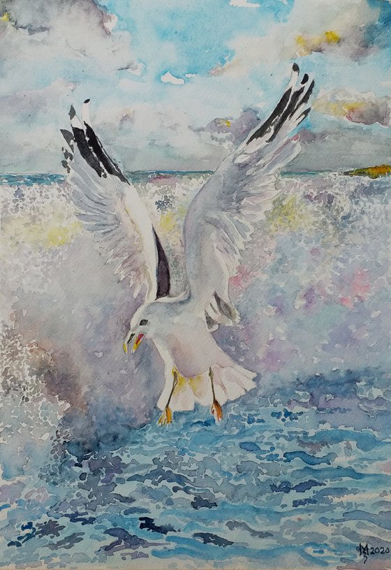 SEAGULL