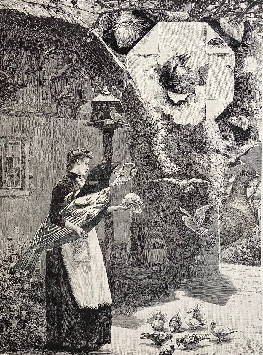 Surrealistic Portrait Collage By Tudor Evans, 6 X 9", Feeding Doves And Pigeons Watched, Original Artwork