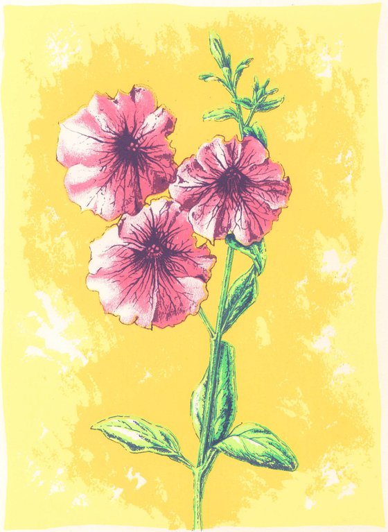 Petunias