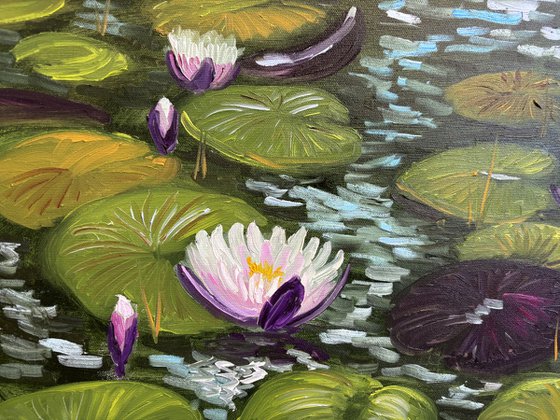Water Lilies in the Sunlight