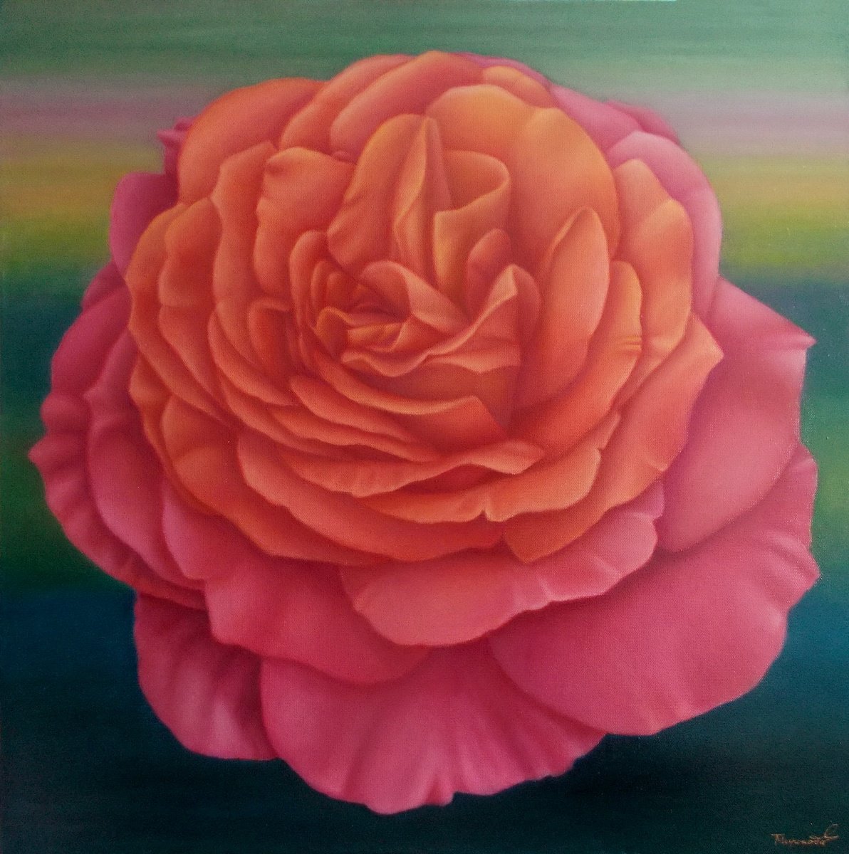 Queen of beauty, rose painting , orange flower by Tatyana Mironova