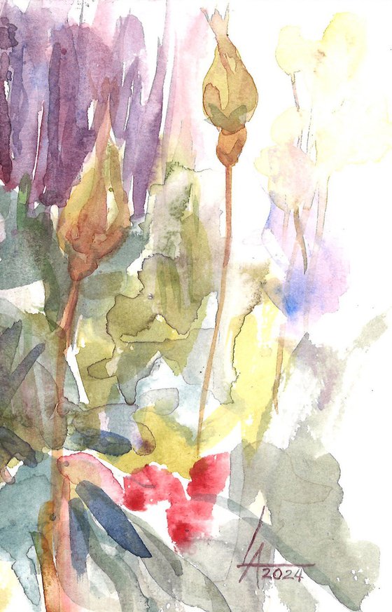 Roses in the garden