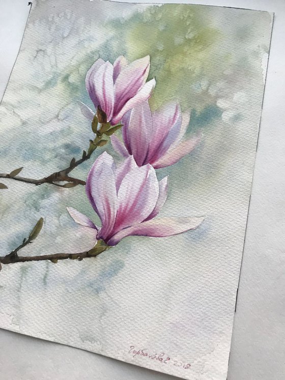 Magnolia Flowers