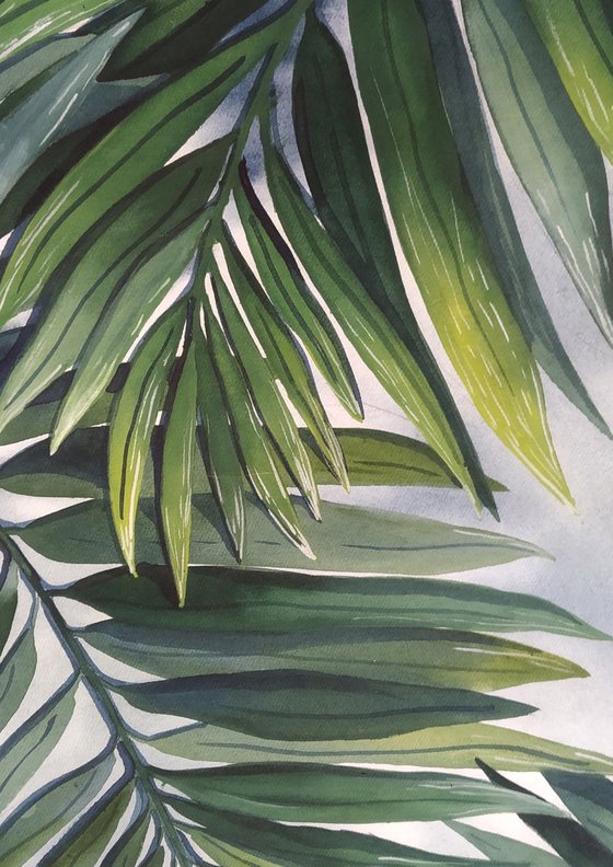Palm Leaves 1