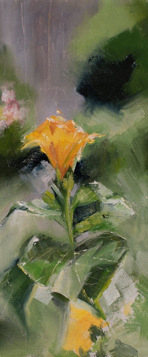 Squash Blossom by Sean Fear