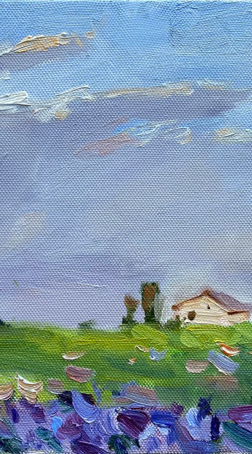 White barn by Nataliia Nosyk