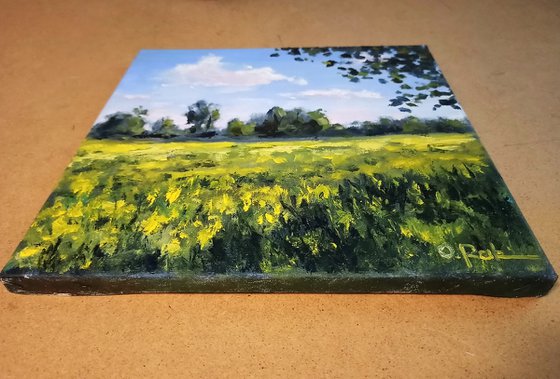 Blooming meadow