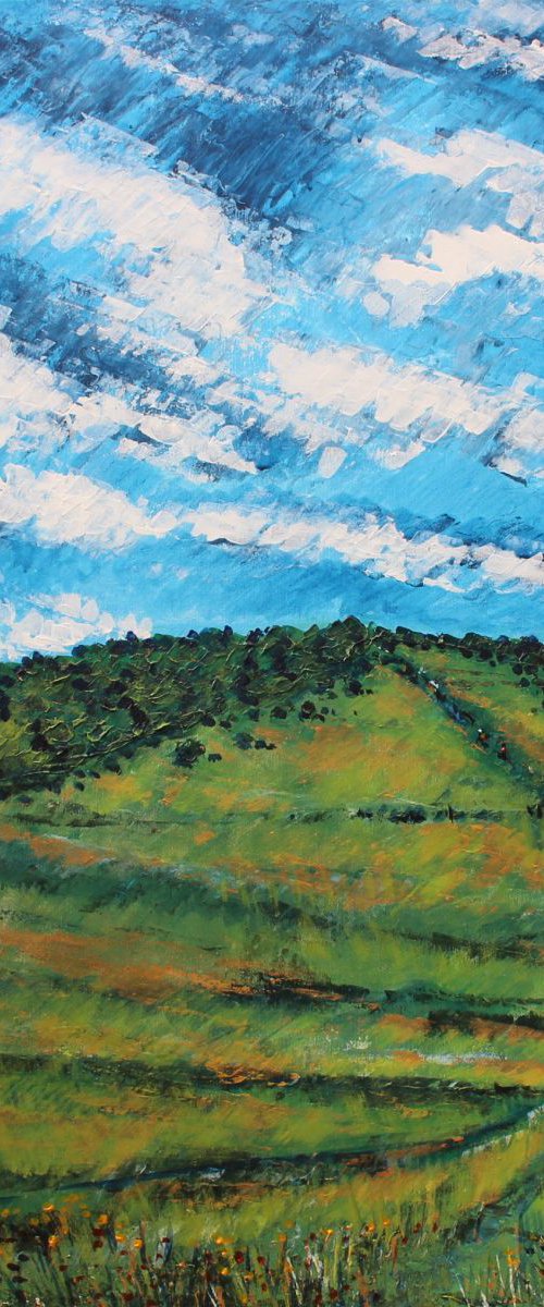 Butser Hill II by Paul J Best