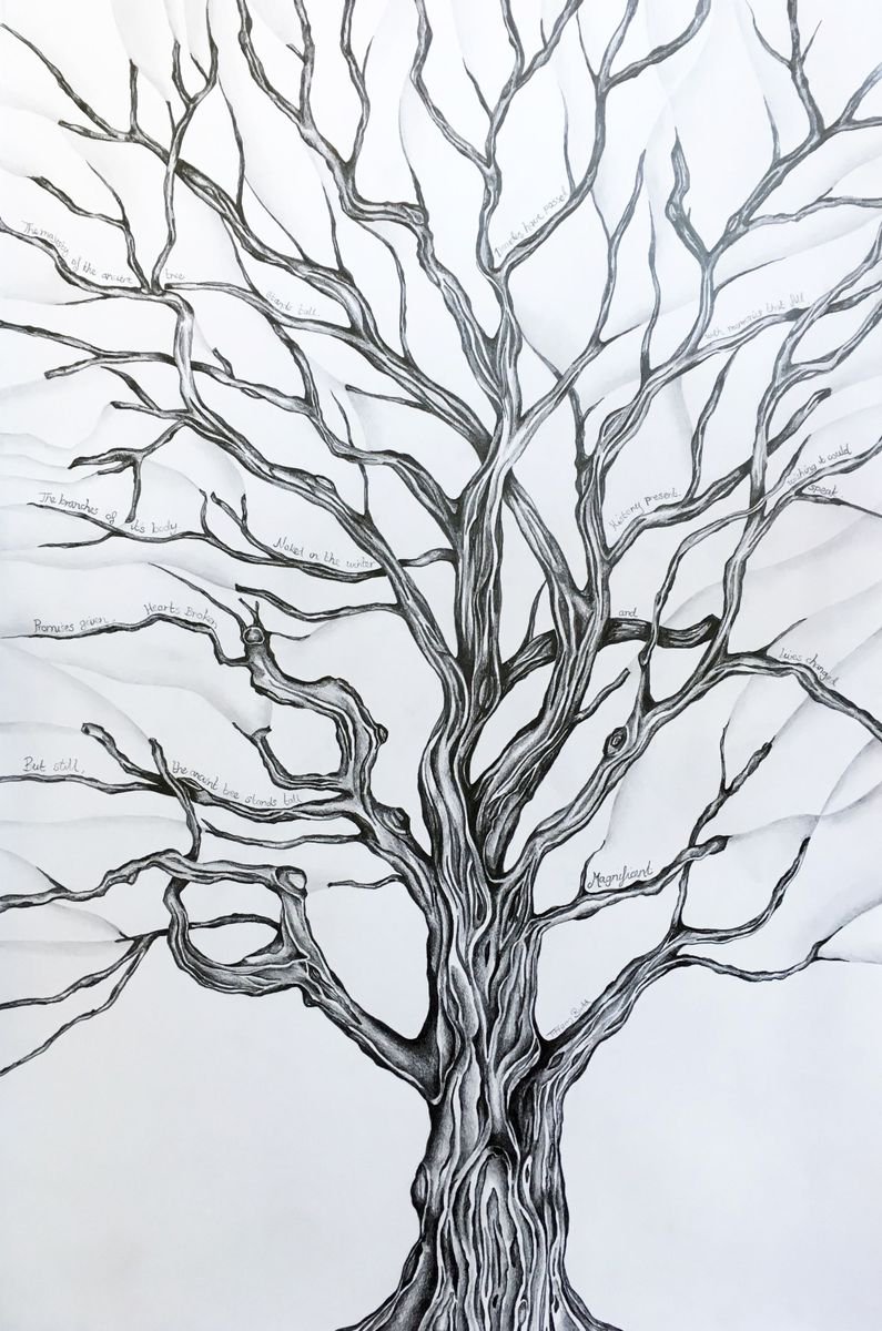 The Ancient Tree Pencil drawing by Tiffany Budd Artfinder