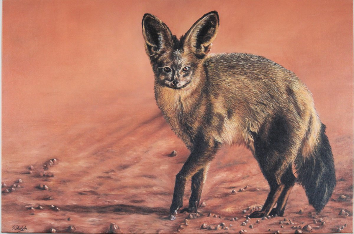 Photorealistic Animal Oil Painting By Kristina Waddingham, 30 X 20", Bat-Eared Fox, Original Artwork