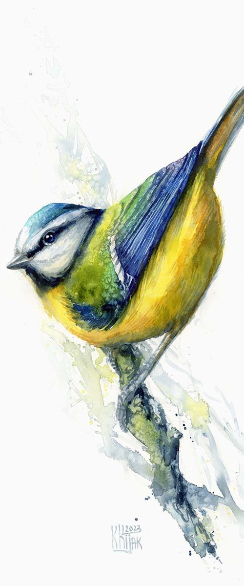 Blue Tit - The Sky-Hued Agile Avian by Karolina Kijak