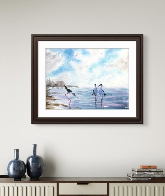 Seascape Wild birds Sunset