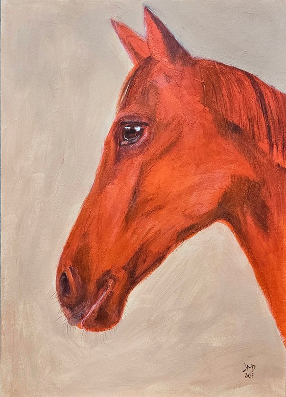 My orange chestnut horse portrait