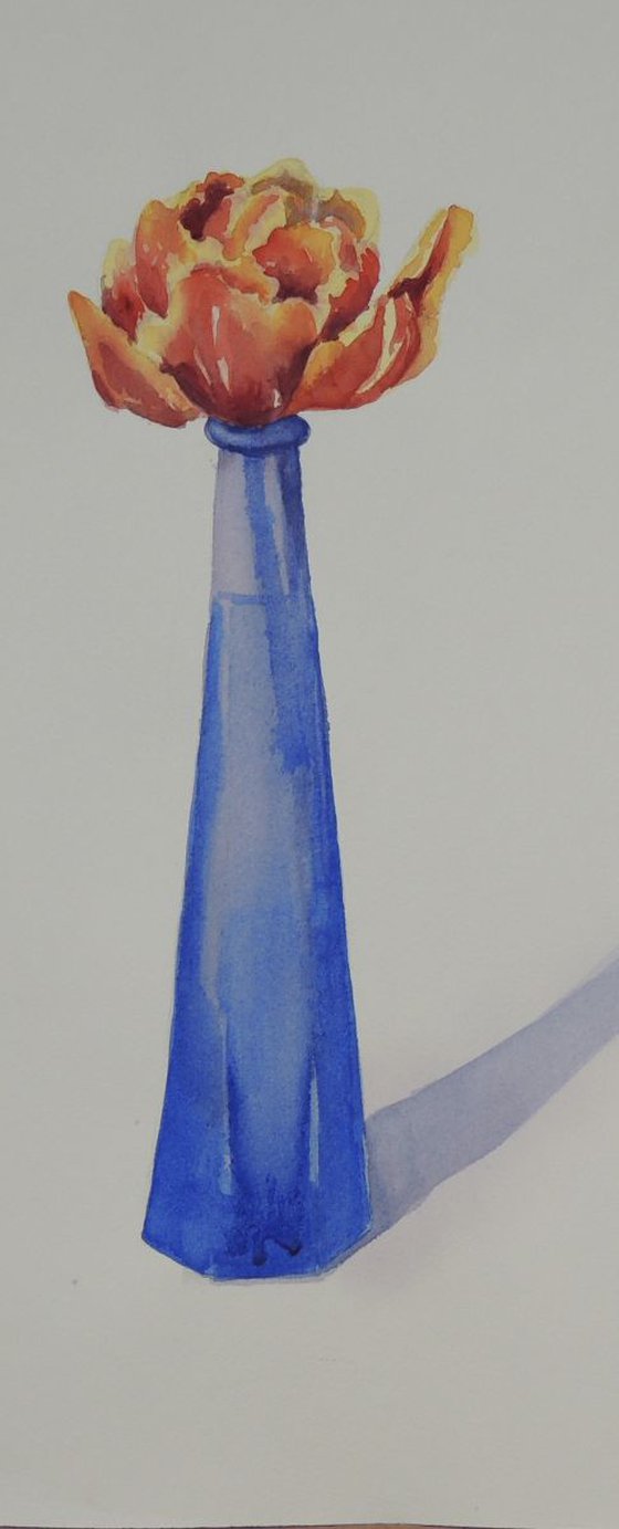 Tulip in a blue vase